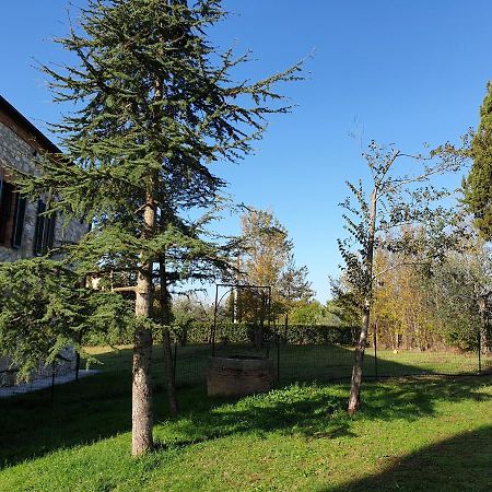 Podere Il Poggio Asciano Exteriör bild