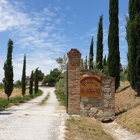 Podere Il Poggio Asciano Exteriör bild
