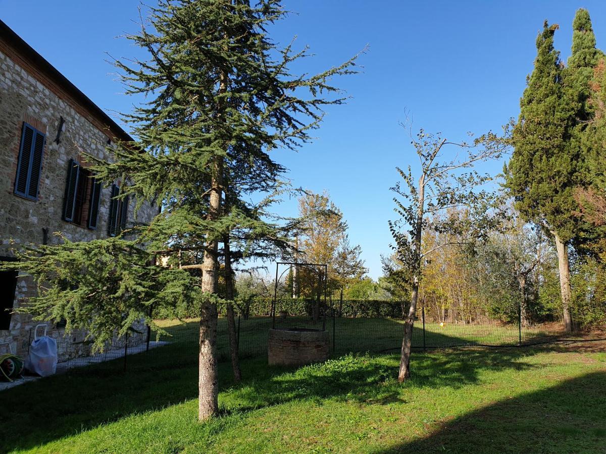 Podere Il Poggio Asciano Exteriör bild