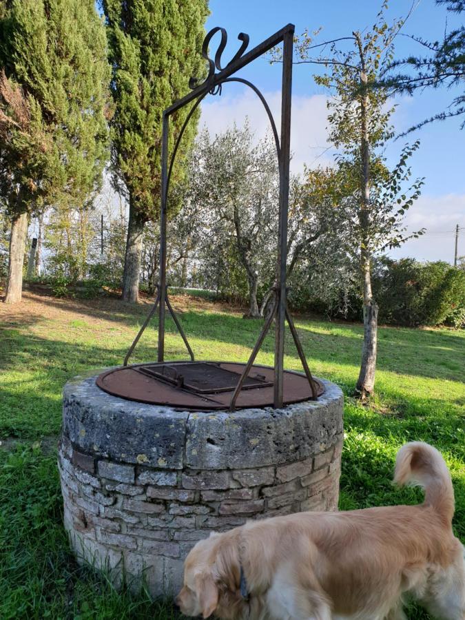 Podere Il Poggio Asciano Exteriör bild