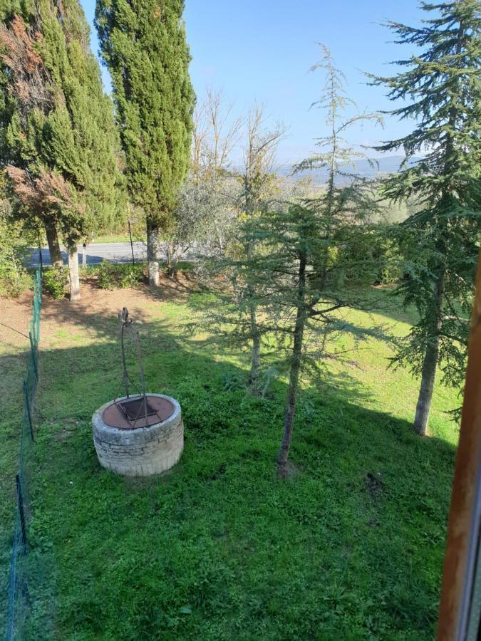 Podere Il Poggio Asciano Exteriör bild